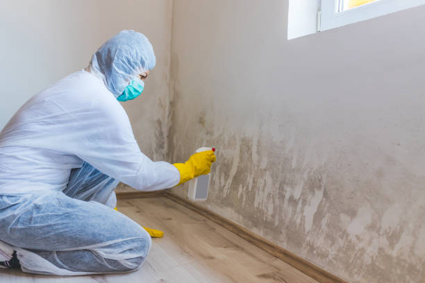 Mold Remediation specialist working in Fishertown